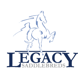 Legacy Saddlebreds LLC